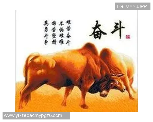 南京乒乓球队的崛起之路：亚运会背后的奋斗与荣耀