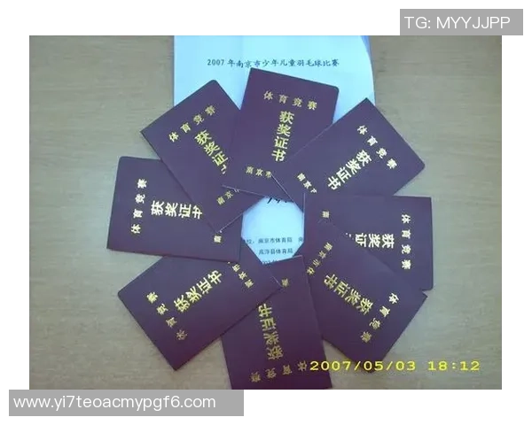 南京羽毛球队个人能力分析与表现评估研究报告