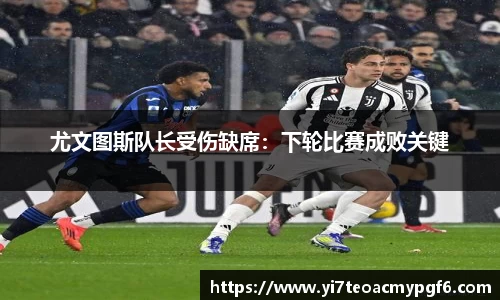 k1体育