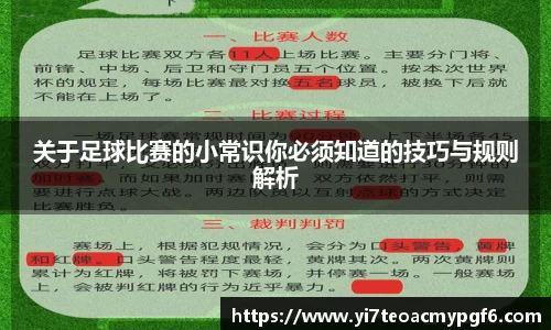 k1体育