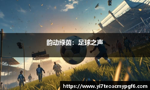 k1体育