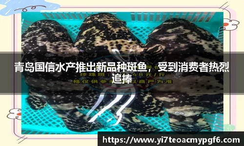 青岛国信水产推出新品种斑鱼，受到消费者热烈追捧